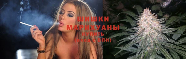 стаф Тында