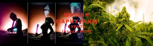 дживик Белокуриха
