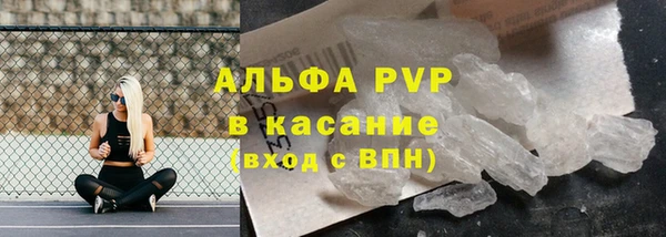 PSILOCYBIN Балахна
