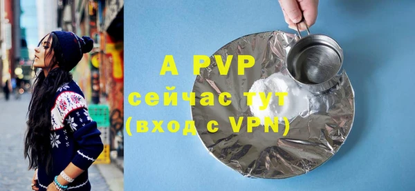 дживик Белокуриха
